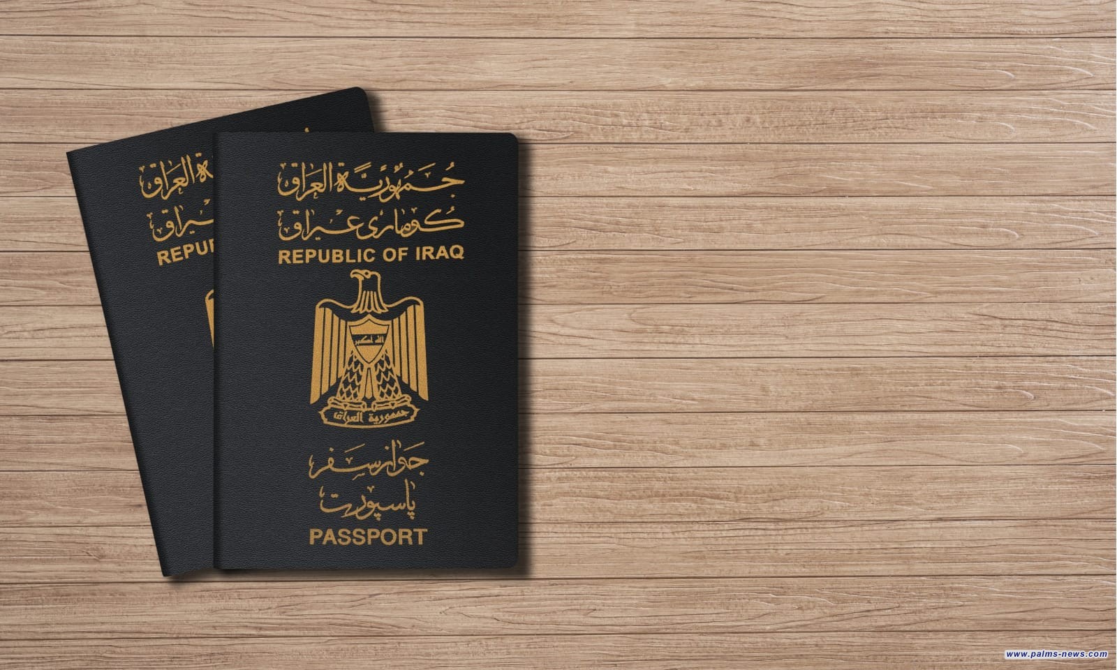 الداخلية تحدد موعد إيقاف إصدار الجواز الاعتيادي
