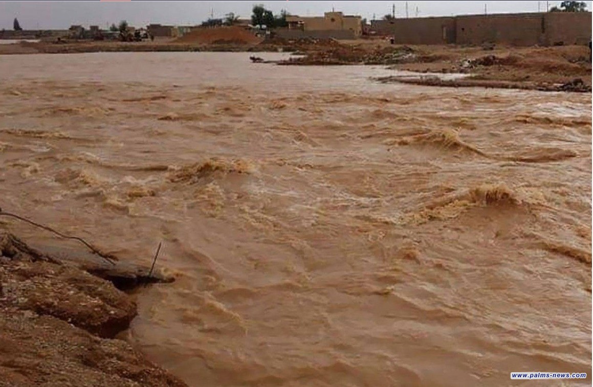 الصحة تسجل 6 حالات وفاة وإصابتين جراء الأمطار والسيول الأخيرة