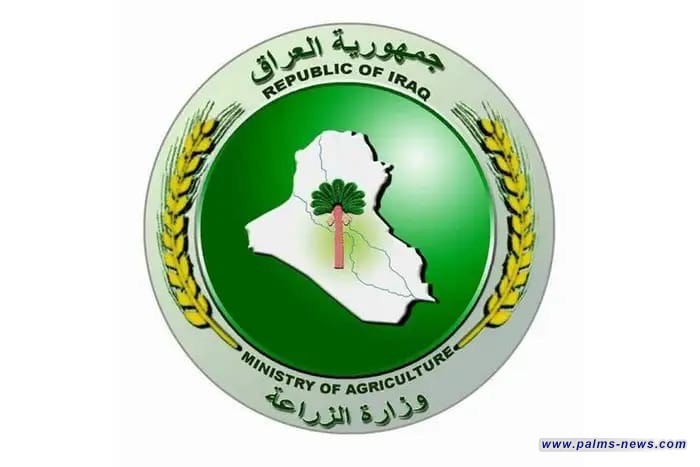 الزراعة العراقية توافق على استيراد الأبقار والأغنام للسيطرة على أسعار اللحوم