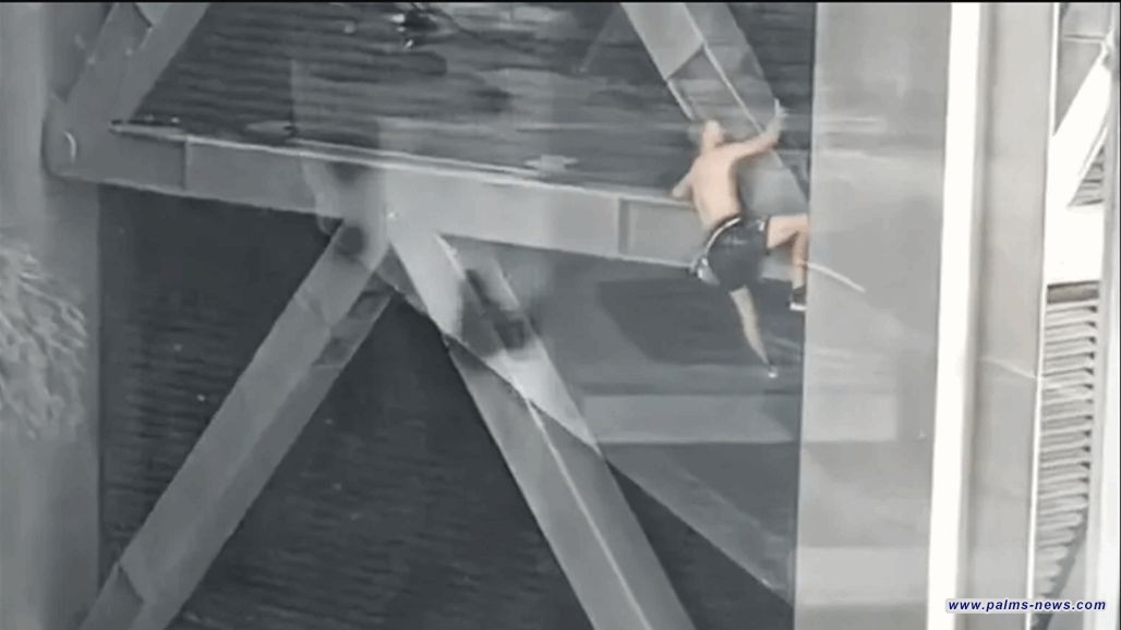 بريطاني يتسلق ناطحة السحاب "ليدنهال" وسط لندن