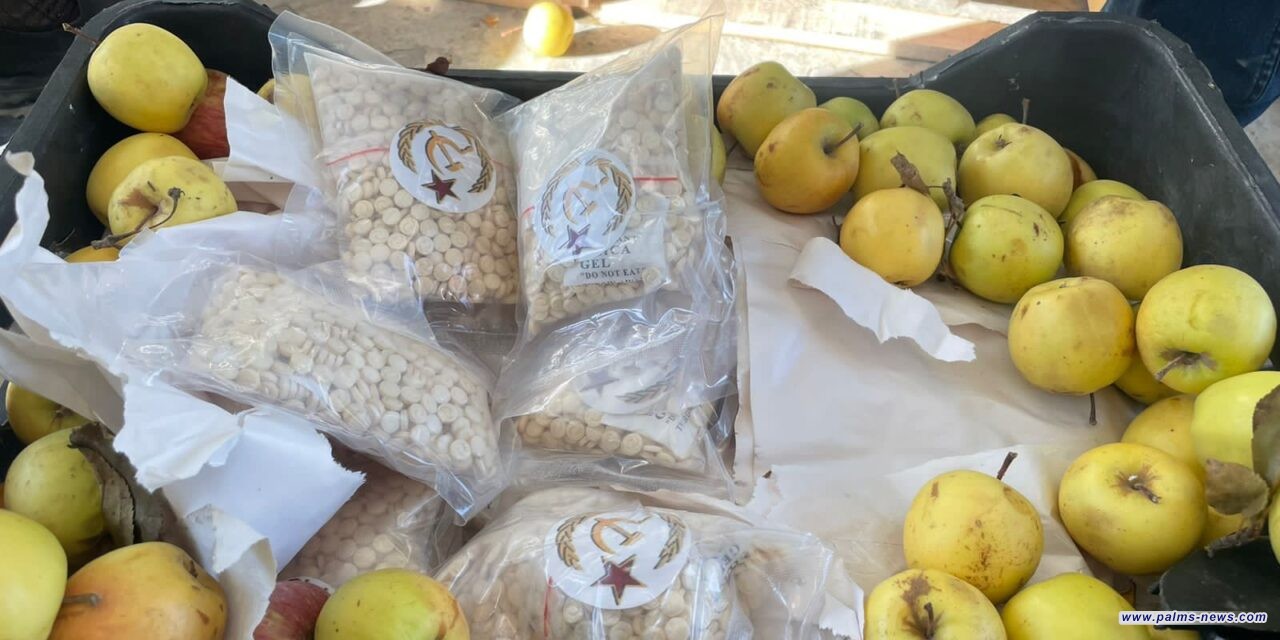 إحباط تهريب أكثر من 3 ملايين حبة مخدرة مخفية بــ "صناديق تفاح مستوردة" في منفذ القائم