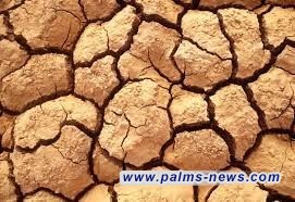 باحثون: ظاهرة خطيرة تحدث بسبب جفاف التربة