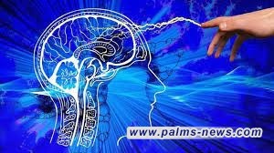 غرس شريحة في الدماغ تتصفح مواقع التواصل الاجتماعي