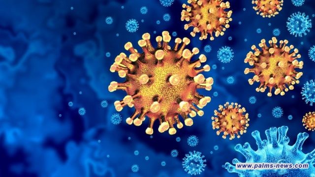 الصحة العالمية تسجل 10 آلاف وفاة بكورونا بكانون الأول