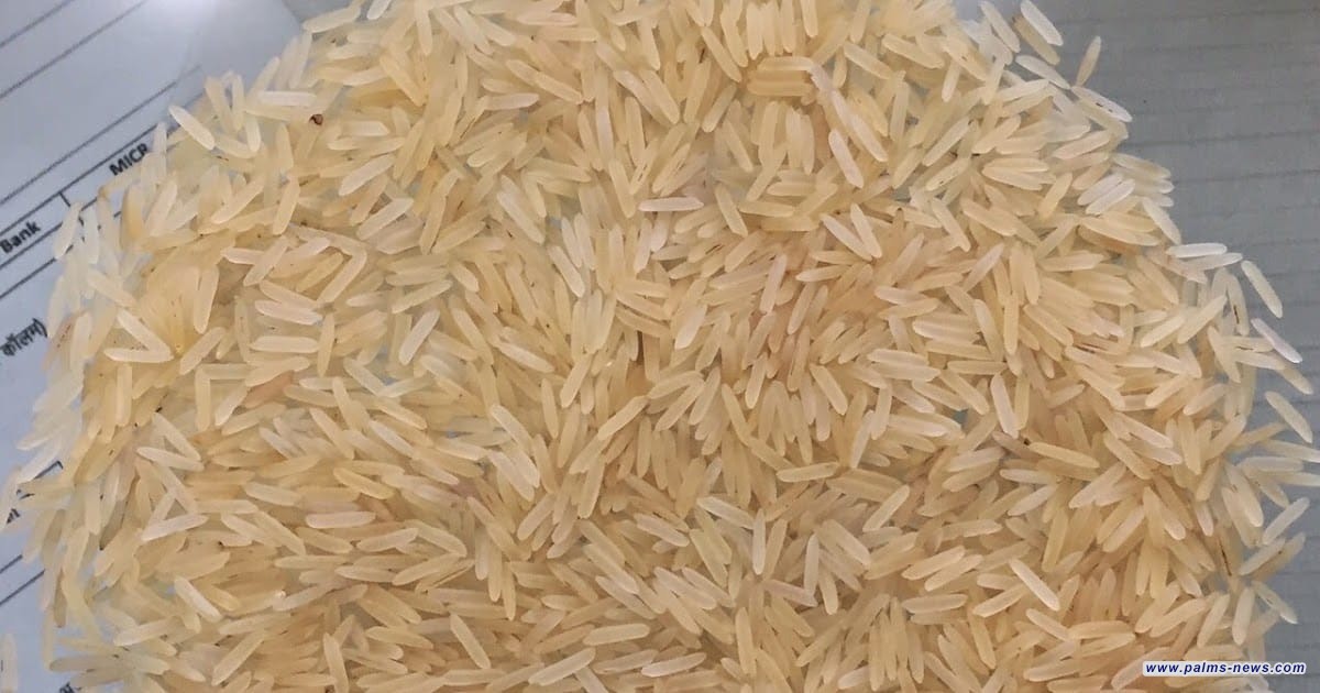 العراق ضمن الدول الأكثر استيراداً للأرز والأكبر إنتاجاً لها عربياً