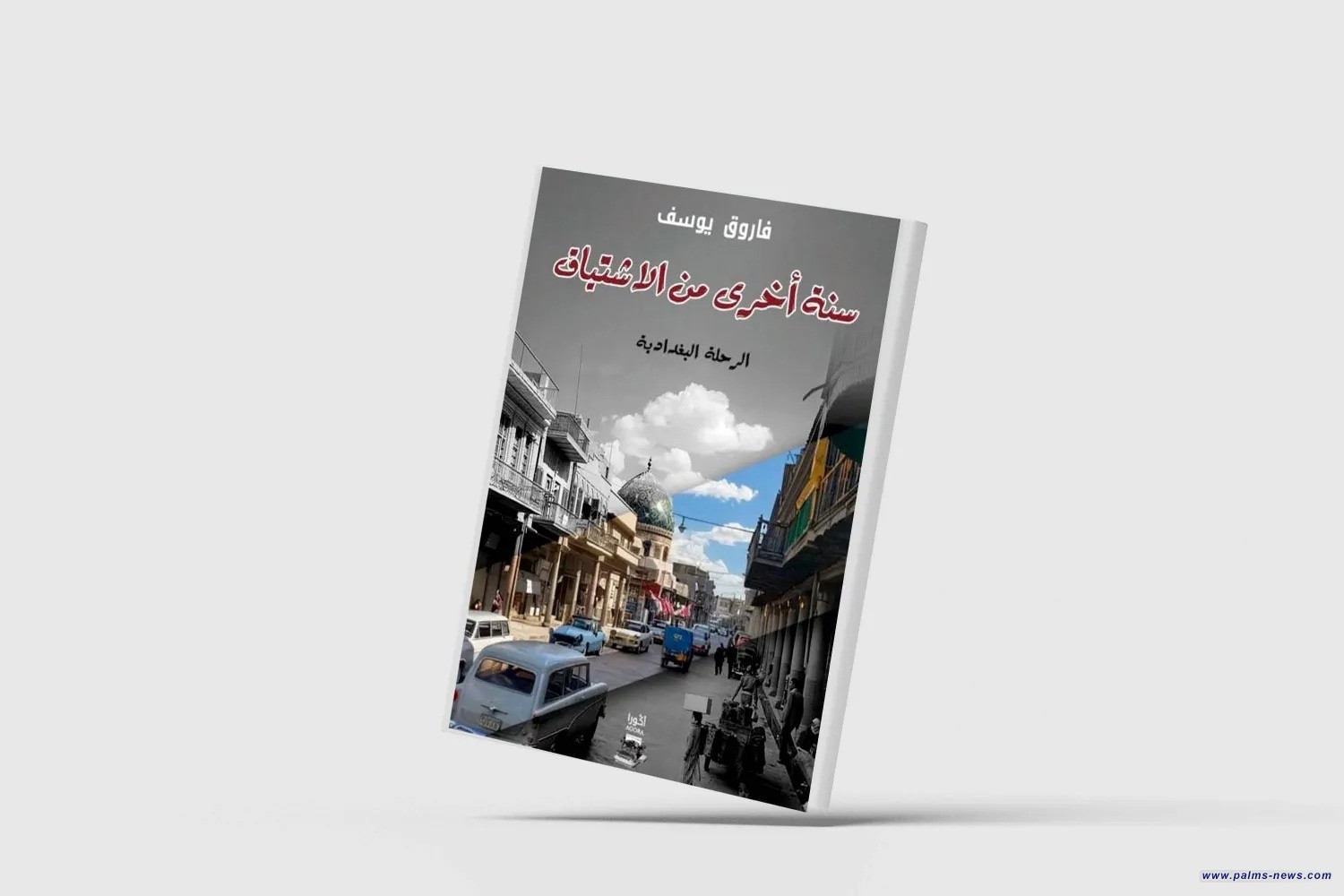 رحلة شعرية إلى بغداد