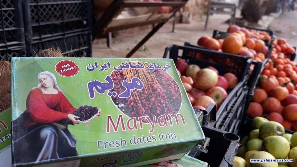 إيران تُصدِّر 250 ألف طن من المحاصيل الزراعية إلى العراق عبر منفذ مهران