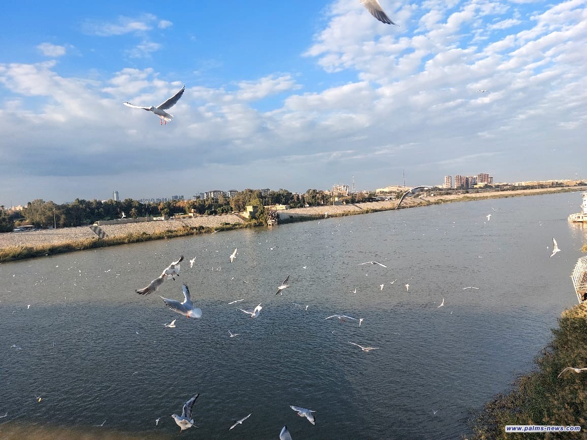 الأنواء الجوية تعلن تفاصيل حالة الطقس في العراق للأيام المقبلة