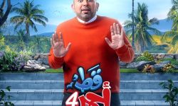 الفنان مصطفى بهجت لنخيل عراقي: الفن حاله حال أي تخصص علمي يحتاج  للدراسة والخبرة قبل الخوض فيه