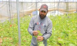 استشهاد يوسف أبو ربيع يصدم محبيه..