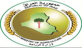 الزراعة تعلن إيقاف الرسوم والضرائب عن الواردات الغذائية الأساسية