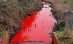 هل اقترب يوم القيامة؟ نهر دموي في بريطانيا