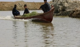 رويترز: أهوار العراق تستعيد نبضها من جديد بعد سنوات من الجفاف