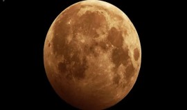 "الذئب العملاق".. عرض فلكي نادر يزين سماء 2026