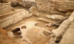 المغرب تعتقلُ زعيم مافيا فرنسية خطير و باريس تشيد بذلك