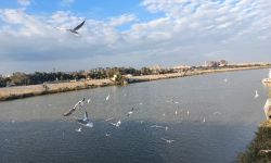 الأنواء الجوية تعلن تفاصيل حالة الطقس في العراق للأيام المقبلة