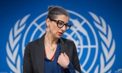 تهديدات لخبيرة في الأمم المتحدة بعد "تفصيل الإبادة الجماعية" في غزة